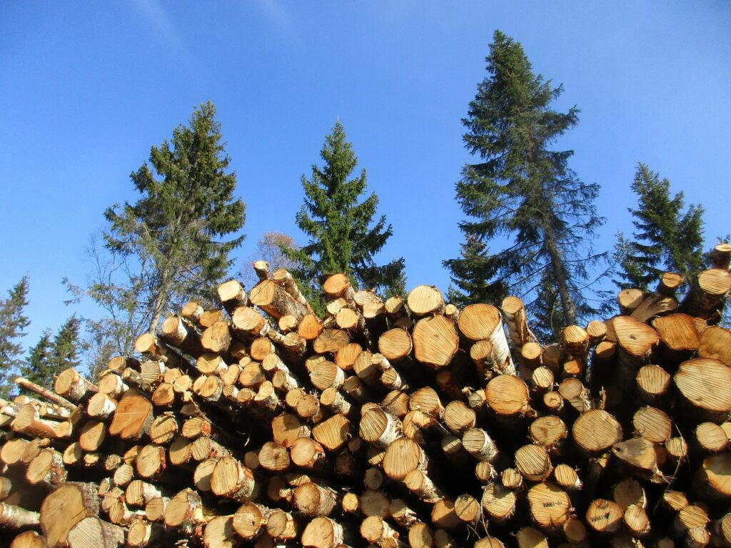 Het belang van bouwhekken bij bouw en evenementen Het belang van bouwhekken bij bouw en evenementen